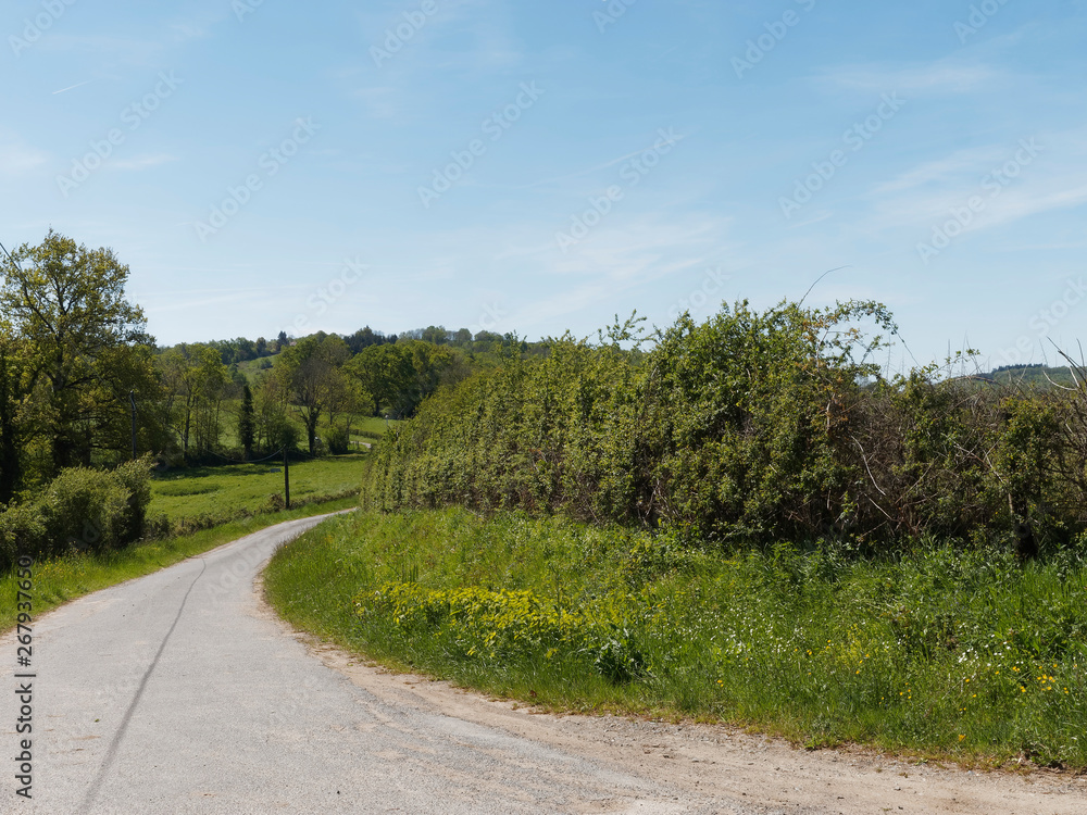Les routes sinueuses traversant les paysages verdoyants du Bourbonnais dans l'Allier, région Auvergne-Rhônes-Alpes. - obrazy, fototapety, plakaty 