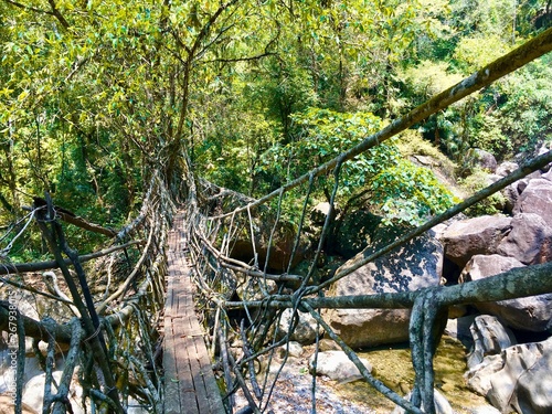 The real living roots bridge over a river in deep jungle overcast day near the village of Riwai, Shillong, Meghalaya, India