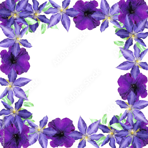 Beautiful floral background of clematis and petunia. Isolated 