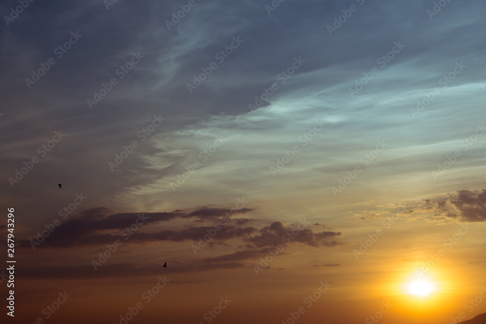 Fototapeta premium sunset over the sea