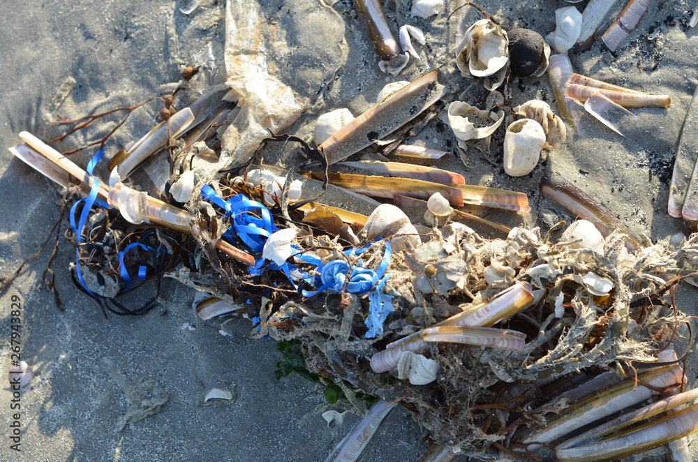 Obraz premium Plastic mess left on the beach or washed up.