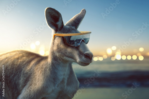 Känguru mit Sonnenbrille am Meer © lassedesignen