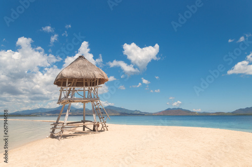 Amazing pristine beach in Honda Bay, Luli Island, Palawan, Philippines photo