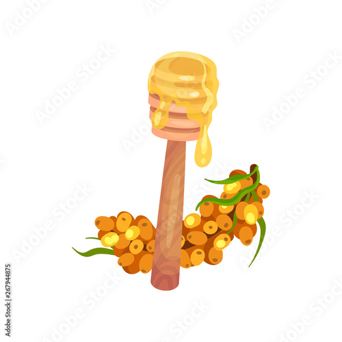 Branch of sea buckthorn and a full spoon of honey. Vector illustration on white background.