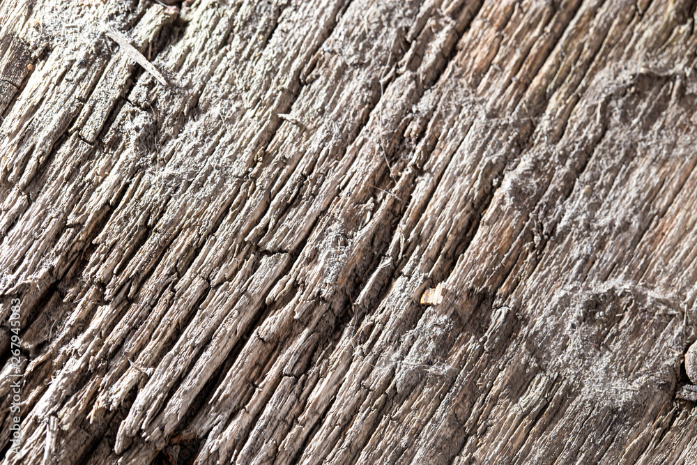 Old wooden board as abstract background Old wooden board as abstract background