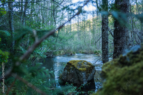rio con bosque y piedras