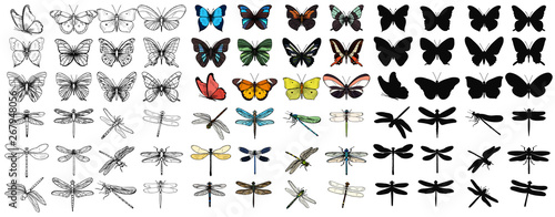 vector isolated set of multicolored butterflies and dragonflies