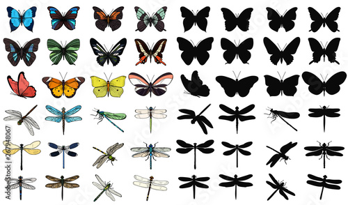  isolated set of multicolored butterflies and dragonflies on a white background
