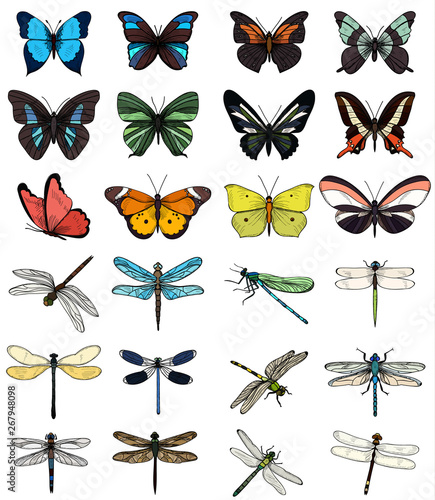 set of multicolored butterflies and dragonflies on a white background