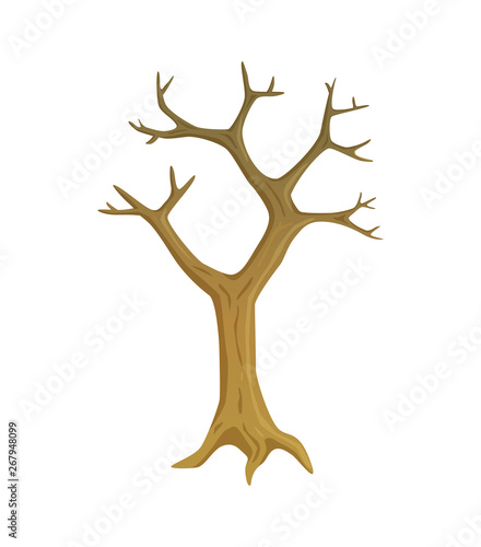 Dry and dead tree, wood with empty branches, flat style of brown trunk, environmental problem or season of falling leaves, single leafless plant vector