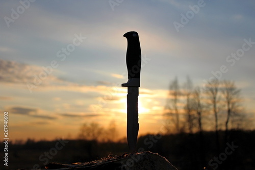 edged weapons with a special sharpening, on the background of spring nature