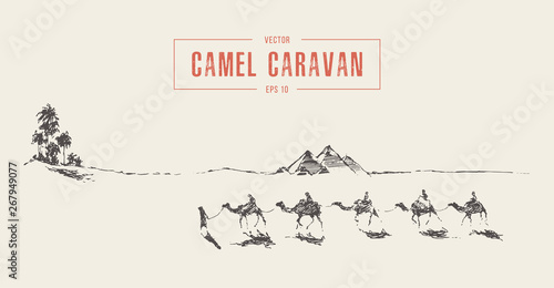 Caravan camels oasis desert drawn vector sketch