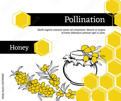 Pollination hand drawn vector illustration. Sea buckthorn, plant sketch. Honey shop packaging sticker. Honeycomb geometric shape. Texture ink clipart. Eco store poster, banner design with text