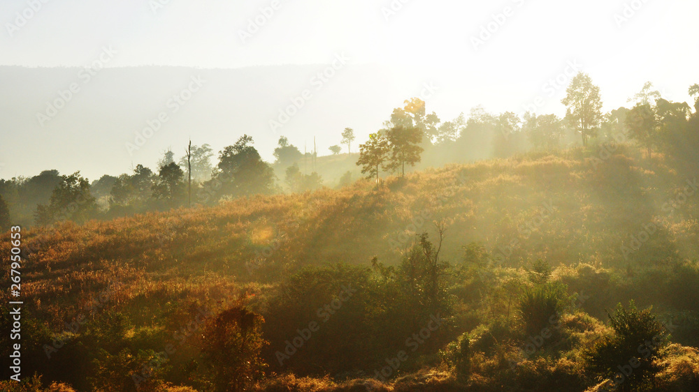 Obraz premium landscape mountain