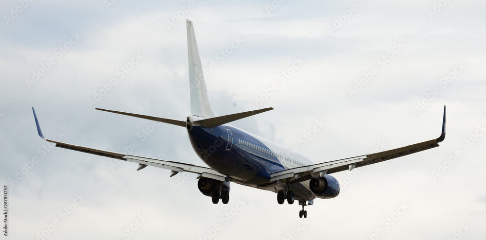 Fototapeta premium modern passenger plane lands at airport