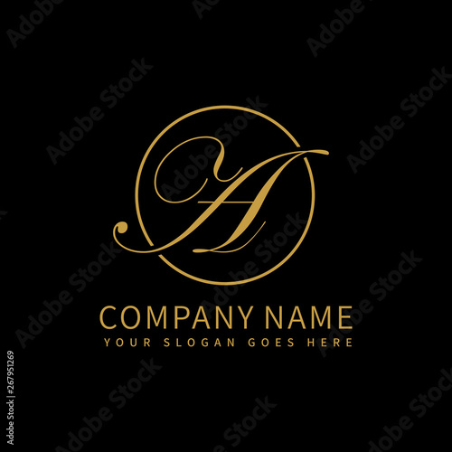 A script initial luxury Logo design Vector