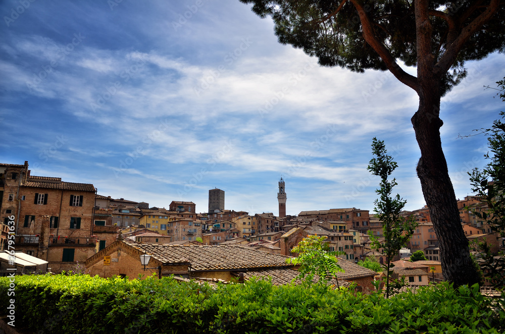 Siena is one of Italy's best preserved medieval towns, located in the heart of Tuscany.