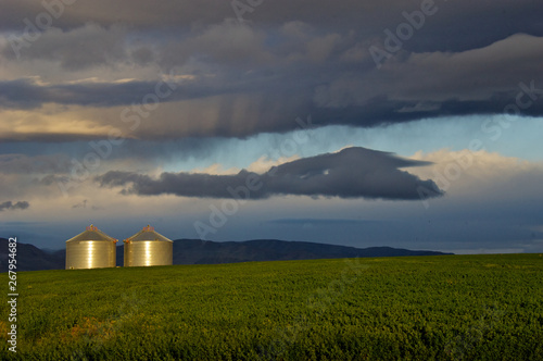 Bilde på lerret Grain Bins reflect morning light, Agricultural Field, Nampa, Idaho