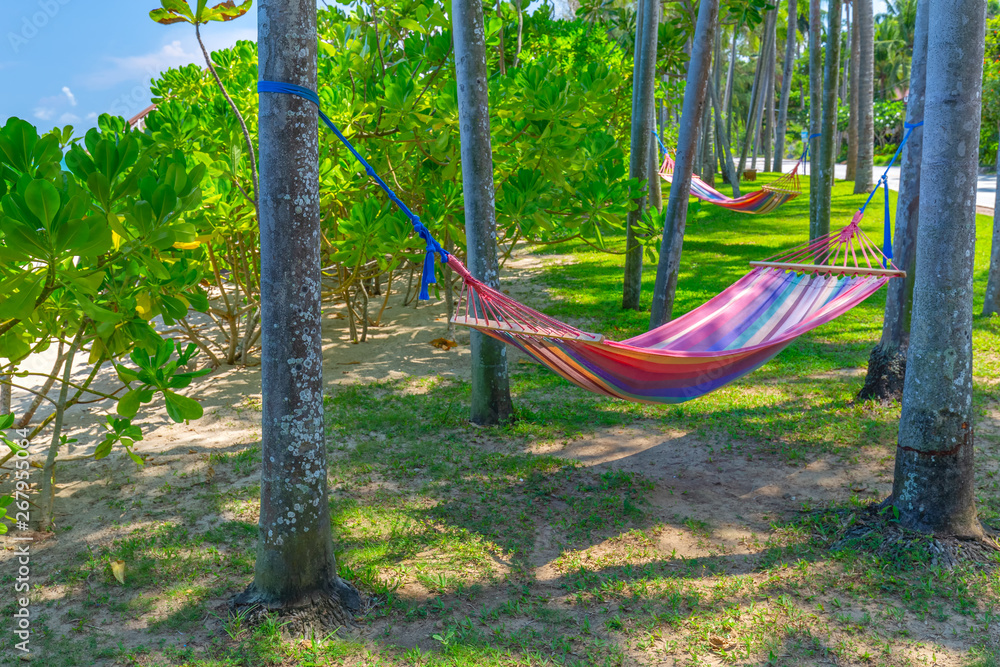 hammock between palm trees on tropical beach. Paradise Island for holidays and relaxation