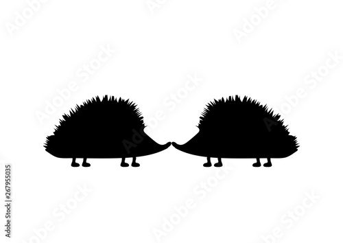  kissing hedgehogs on a white background photo