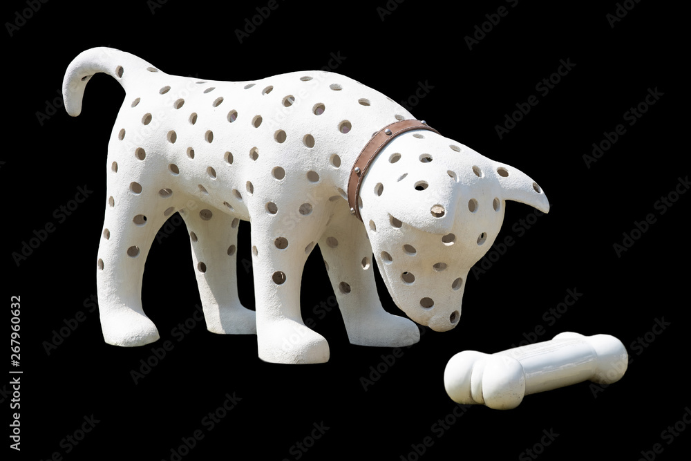 the white dog has a hole in the body that is looking at the white bone the white dog has a hole in the body that is looking at the white bone