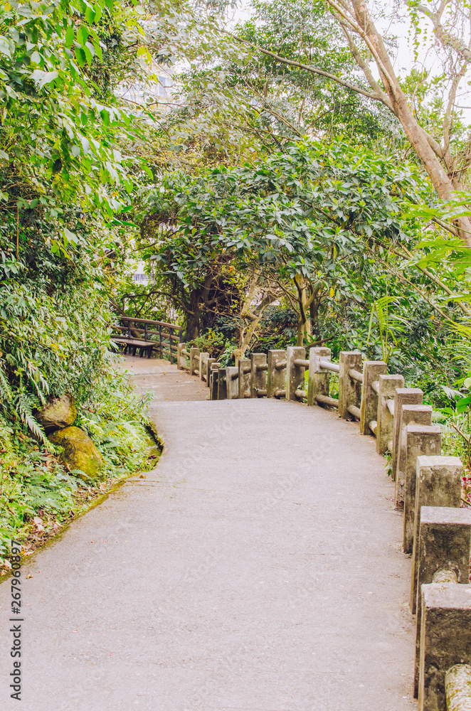 A hiking road in the mountain. Green trees on both sides and guard rails on one side. The road goes up and down. Wood benches in the far end. 