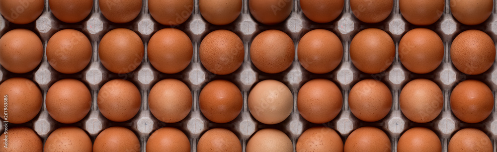 Horizontal banner with even rows of brown chicken eggs on a cardboard stand Horizontal banner with even rows of brown chicken eggs on a cardboard stand