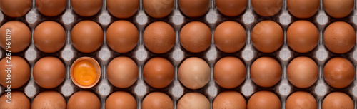 Horizontal banner with even rows of brown chicken eggs and a bright yolk in the lower left corner on a cardboard stand
