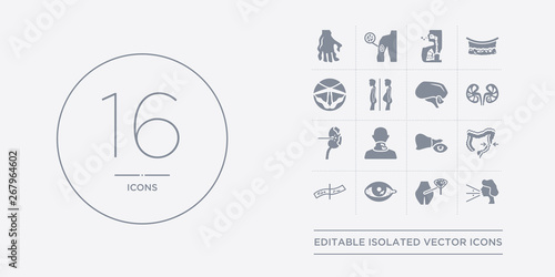 16 vector icons set such as influenza, interstitial cystitis, iritis, iron-deficiency anemia, irritable bowel syndrome contains jaundice, keloids, kidney disease (chronic kidney disease), kidney