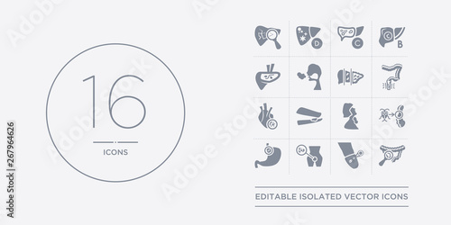 16 vector icons set such as gastroenteritis, genital herpes, genital herpes (herpes simplex virus), gerd, giardiasis contains goitre, gonorrhea, heart disease, hemorrhoid. gastroenteritis, genital