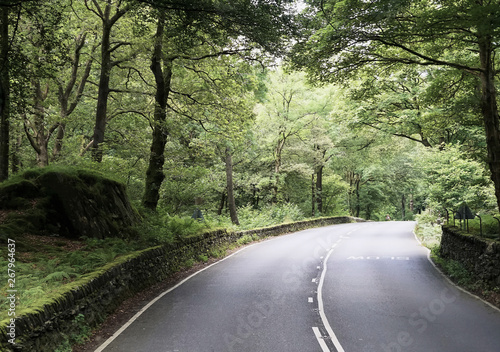 Beautiful Country Road with Moss Covered Stone Wall - Lake District, England