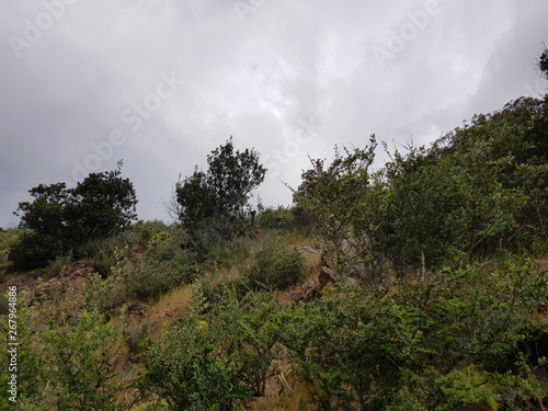 Campagna in Sardegna #267964886