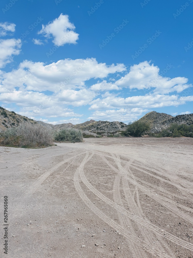 Tire Mark in the desert