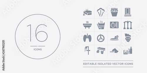 16 vector icons set such as light stimulation, l?yly, l?yly towel, luxury shower, mottled skin contains private spa, regeneration, respiration, roman bath. light stimulation, l?yly, towel from sauna