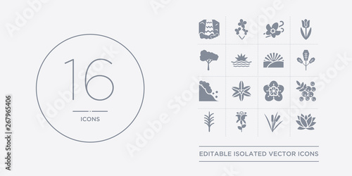 16 vector icons set such as protea, reed, rose, rosemary, rowan contains sakura, sisyrinchium, snowslide, spear shaped. protea, reed, rose from nature outline icons