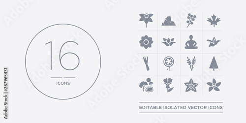 16 vector icons set such as jasmine, jonquil, knapweed, landscape, larch contains lavender, lemon and juice drop out, lemongrass, lily. jasmine, jonquil, knapweed from nature outline icons
