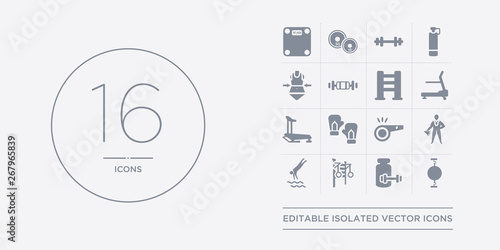 16 vector icons set such as stretching punching ball, supplement, swedish wall, swim, trainer contains trainer rod, training gloves, treadmill, treadmill machine. stretching punching ball,
