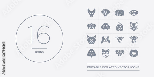 16 vector icons set such as havanese dog, hovawart dog, husky dog, irish setter irish terrier contains italian greyhound japanese chin jindo keeshond havanese hovawart husky from dogs outline icons