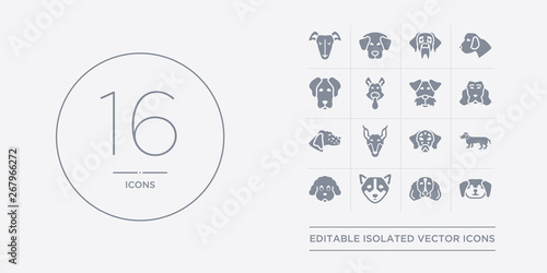 16 vector icons set such as cockapoo dog, cocker spaniel dog, corgi dog, coton de tulear dachshund contains dalmatian doberman english setters field spaniel cockapoo cocker spaniel corgi from dogs