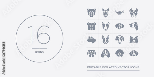16 vector icons set such as bernese mountain dog, bichon frise dog, bloodhound dog, boerboel border collie contains borzoi boston terrier boxer bracco italiano bernese mountain bichon frise