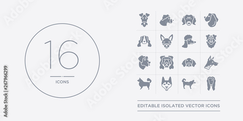 16 vector icons set such as afghan hound dog, akita dog, alaskan klee kai dog, american eskimo american hairless terrier contains american leopard hound water spaniel anatolian shepherd austrailian