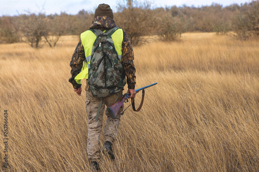 Hunters with a german drathaar and spaniel, pigeon hunting with dogs in reflective vests Hunters with a german drathaar and spaniel, pigeon hunting with dogs in reflective vests