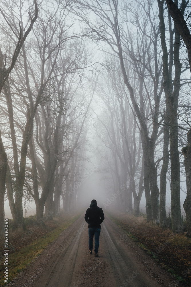 Obraz premium Swedish countryside #3