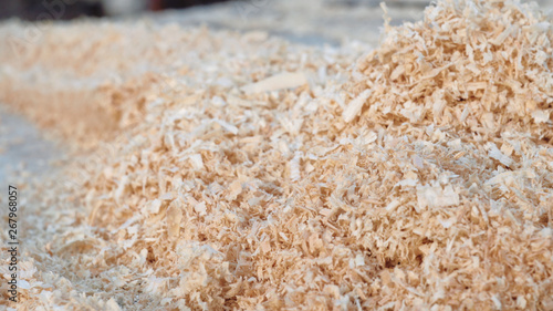 mountains of wood shavings close up