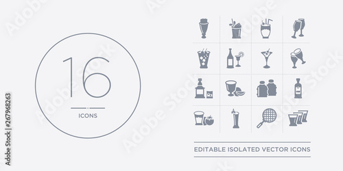 16 vector icons set such as shots, sieve, tequila sunrise, tomato juice, vodka contains water jug, watermelon juice, whiskey, wine toast. shots, sieve, tequila sunrise from drinks outline icons
