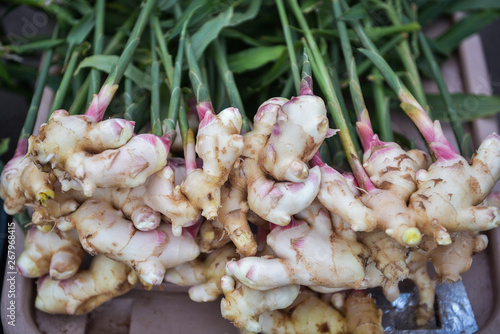 Freshly harvested ginger for sale and cooking ingredients.