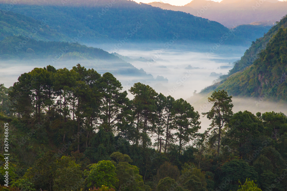 Sunrise morning sky with fog on mountain Sunrise morning sky with fog on mountain