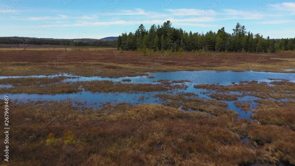 Flying low over a beaver lodge on the brushy shore of a bog in Maine AERIAL Flying low over a beaver lodge on the brushy shore of a bog in Maine AERIAL
