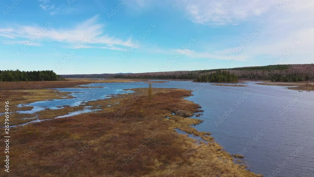Flying towards a beaver lodge on a small peninsula in a Maine bog AERIAL Flying towards a beaver lodge on a small peninsula in a Maine bog AERIAL