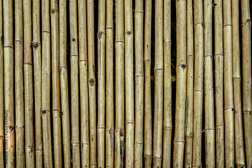 background of bamboo wall